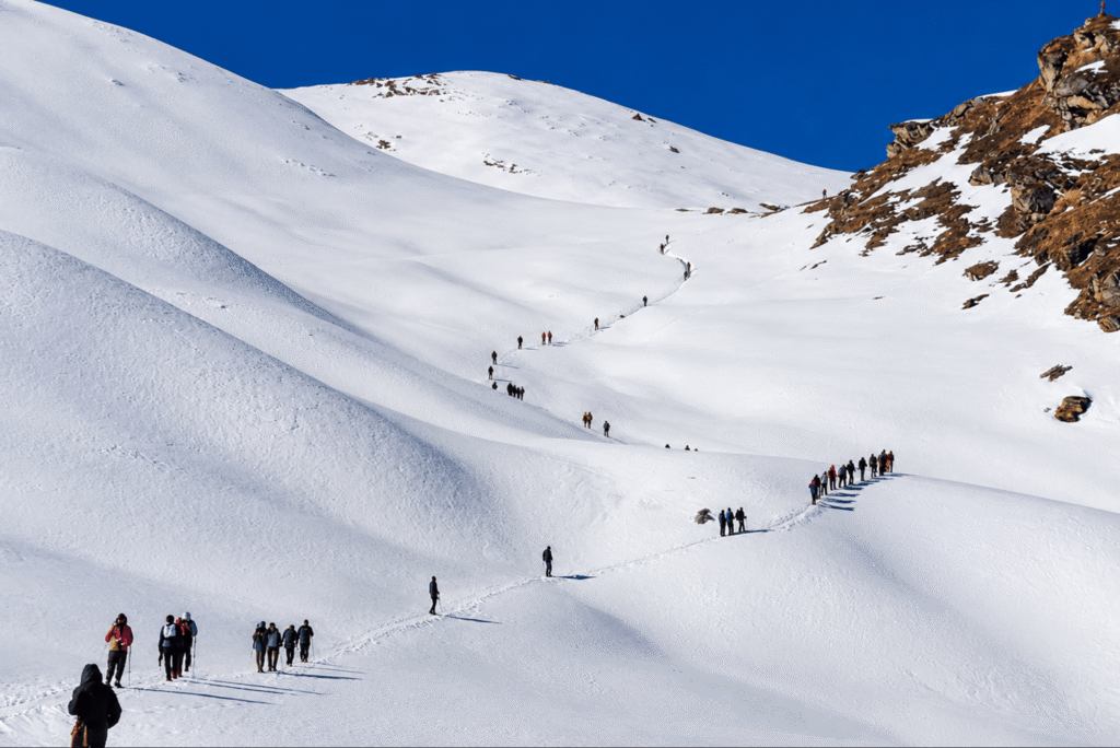 Kuari Pass Trek & Travel Agency in Dehradun